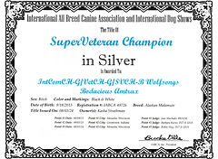 SuperVeteran Champion in Silver Amy