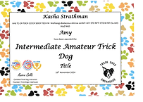 Amy Intermediate Amateur Trick Dog.png