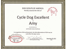Cycle Dog Excellent - Amy