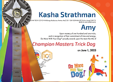Champion Masters Trick Dog - Amy