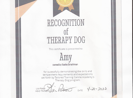 Therapy Dog