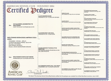Pedigree - Amy