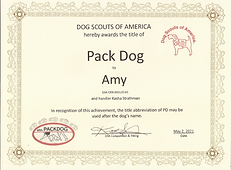 Pack Dog - Amy