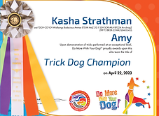 Trick Dog Champion - Amy