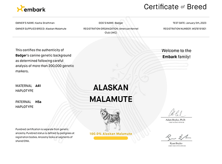 Embark Certificate of Breed.png