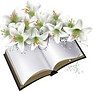 bible.flower.jpg