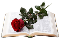bible_edited.png