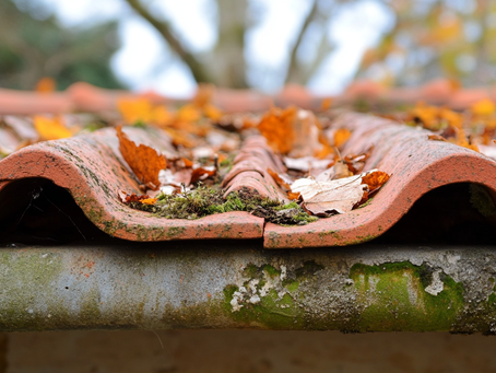 How to Repair Granular Loss on Roof Without Replacing