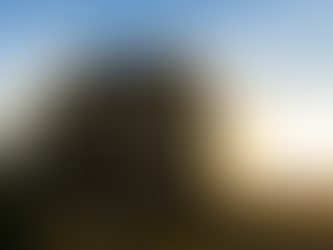 University of Phoenix Education PXED IPO