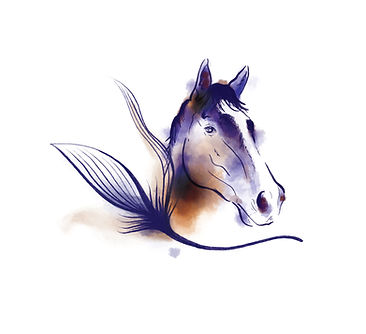 Huntaway Sport Horses