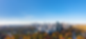 Picture1.png