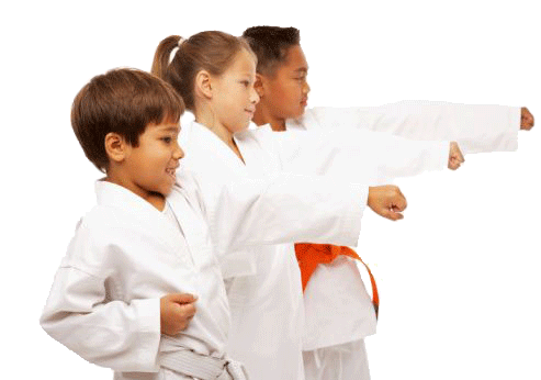 martial arts classes flagler county