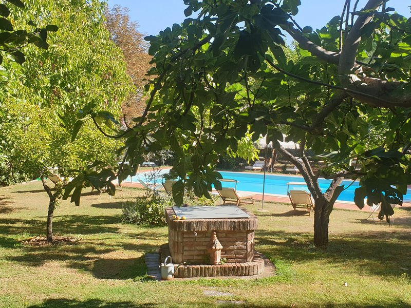 Pool and gardens