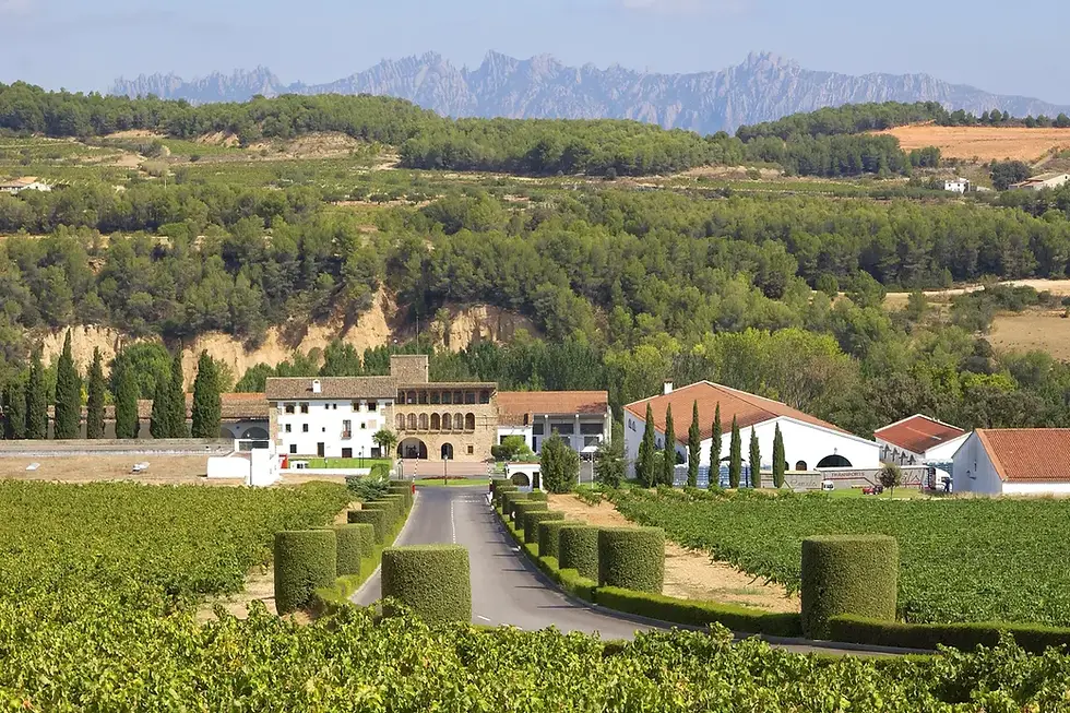 Heredad Segura Viudas - Vineyard Wedding Venue