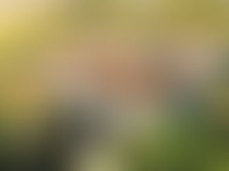 The Cost of Wedding at Ca n’Ayxelà: A Complete Guide for 2025