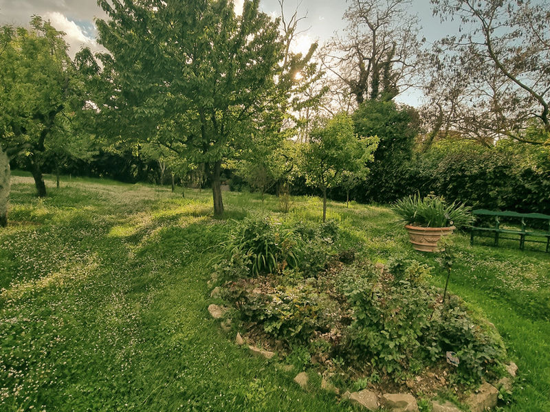 Giardino — Villa Vignacce