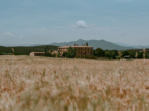 The Ultimate Guide to the Cost of Wedding at Casa Anamaria