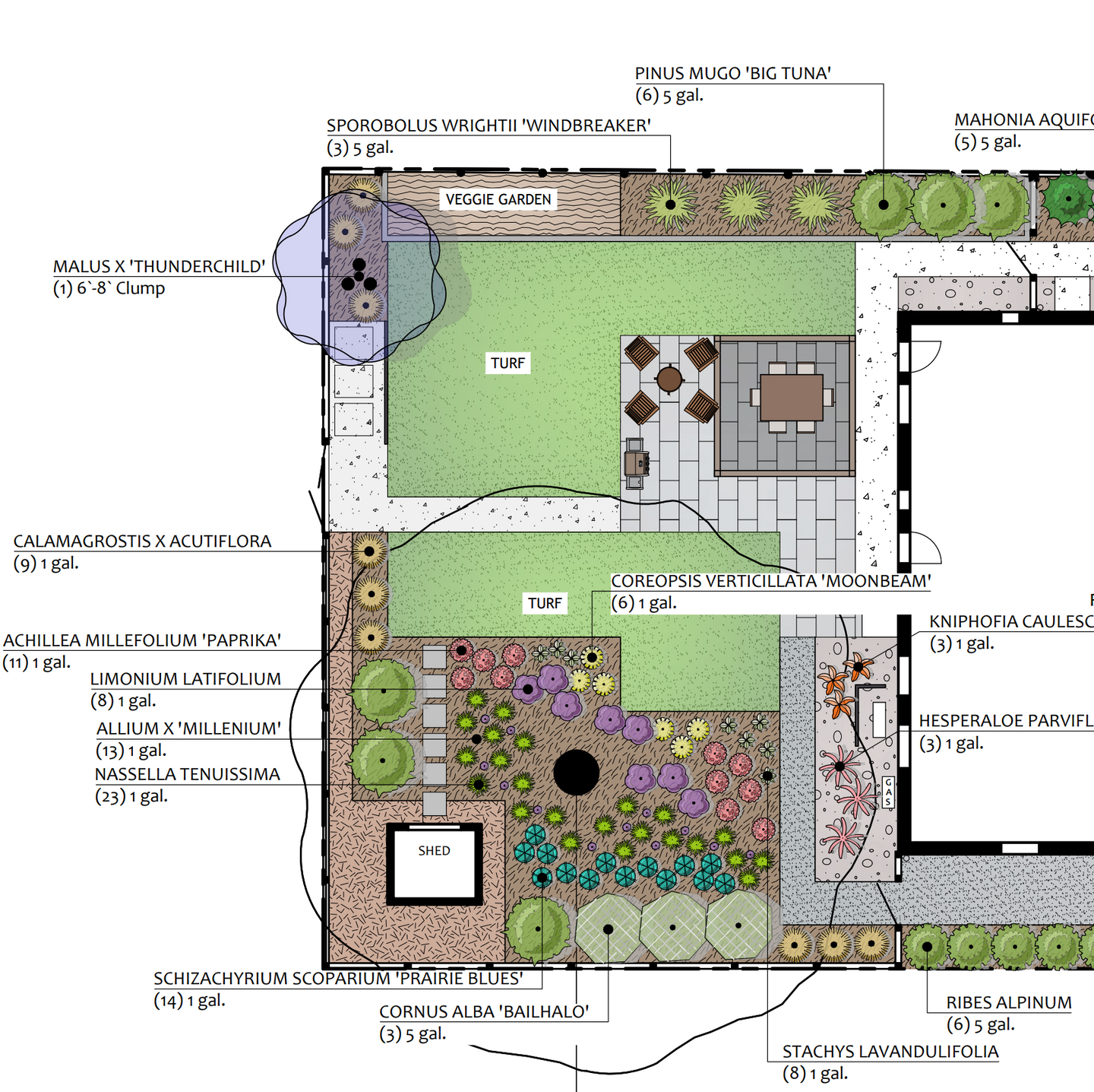 Preliminary plan of the backyard showing plant material labeled
