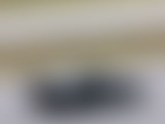 BSquared White-Paper Series: Reliable Datasets, Consistency, and The Effects of Late Braking