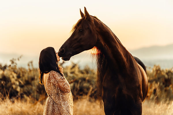 Frau mit Pferd im Sonnenuntergang, Friese, Glitzerkleid, Sommer