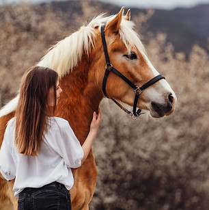 Mädchen mit Haflinger im Frühling