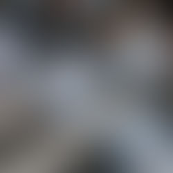 How to Choose a Christian Homeschool Curriculum (A Simple Guide for Families)