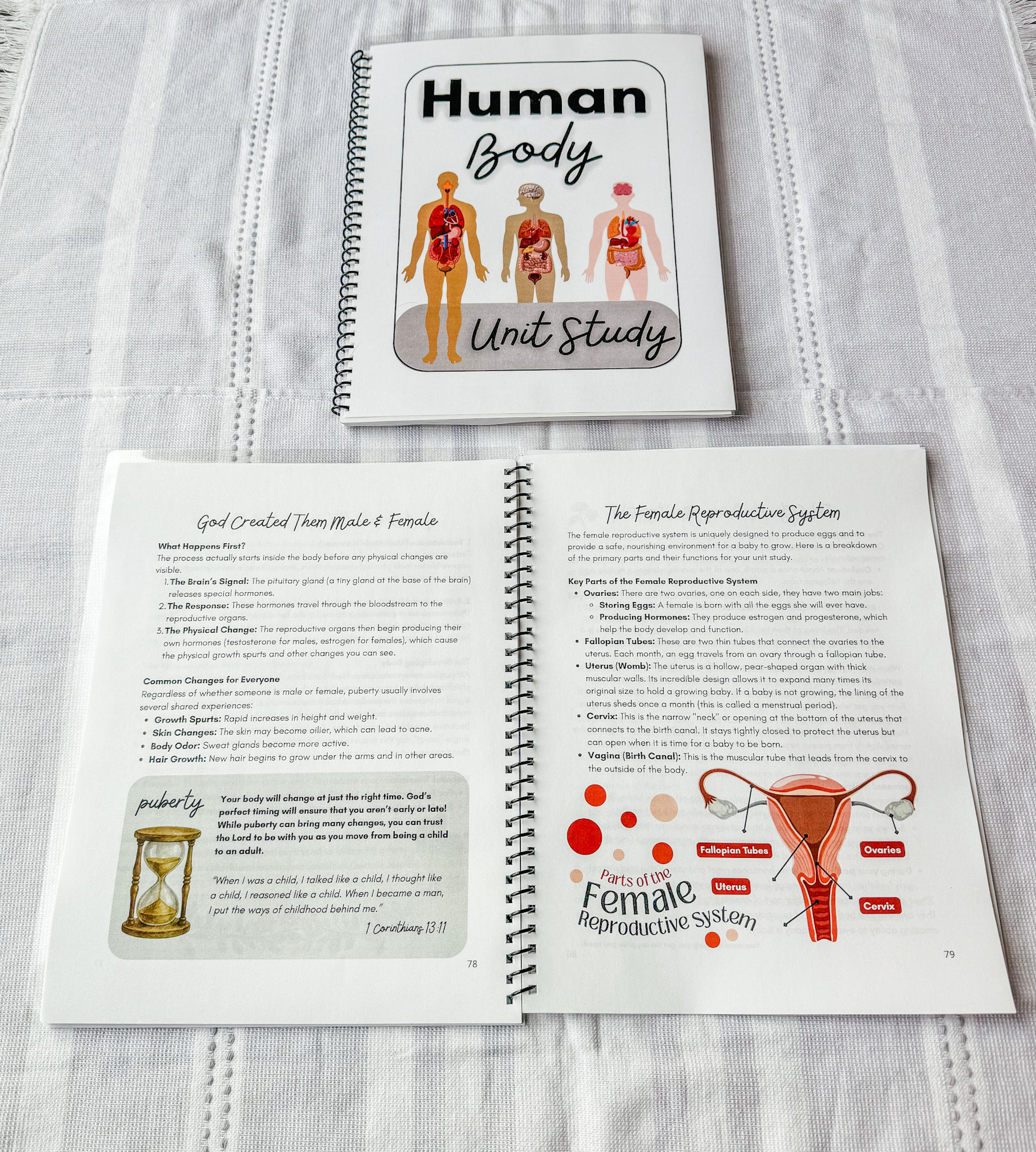 homeschool christian sex ed