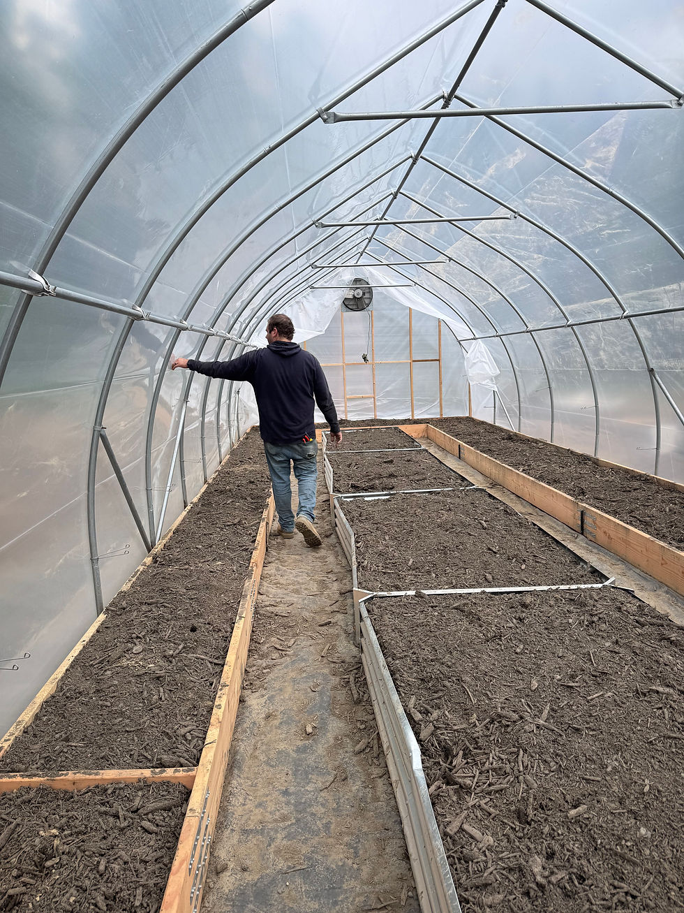 Exterior of a high tunnel greenhouse built to withstand Alaska spring wind and snow