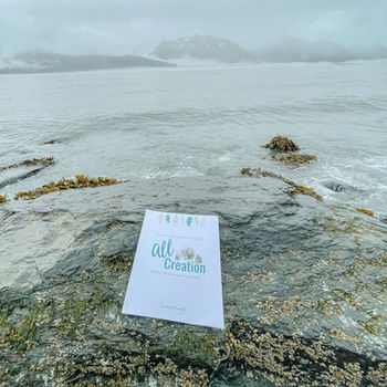 a free bible study for women about creation near the ocean