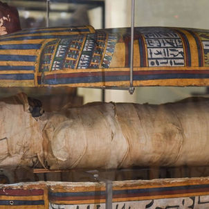 Des traces de chirurgie dentaire sur une momie égyptienne