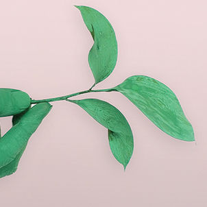 Vers un cabinet plus écoresponsable... Comment réduire l'impact de votre activité ?