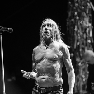 Iggy Pop perd une dent… en plein concert !