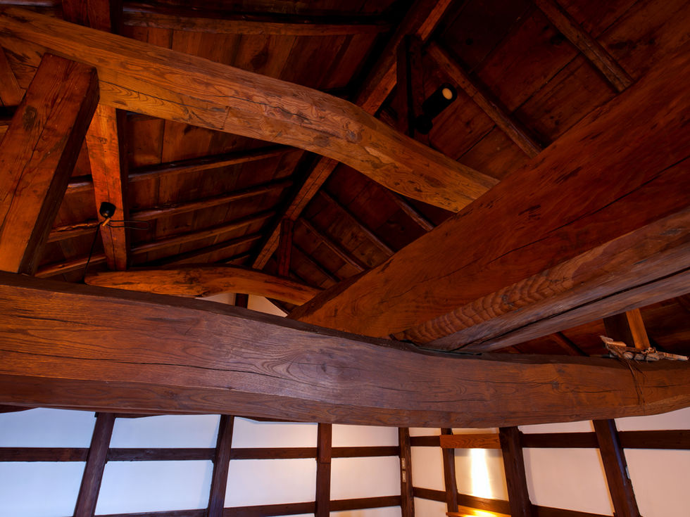 C_MG_9181-