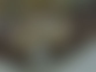 All About AOM's Mascots