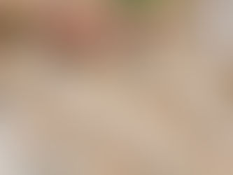 Wedding Bells are Ringing