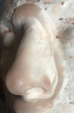 Nose silicone prosthetic