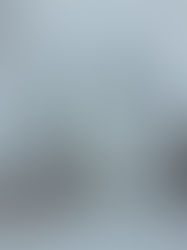 Manufactured Ecosystems