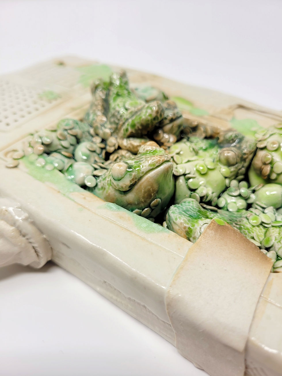 BioIndicator 7 detail 1