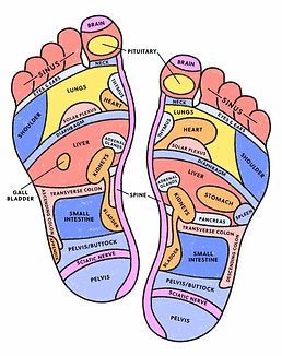 Foot_Reflexology_Chart_.jpg