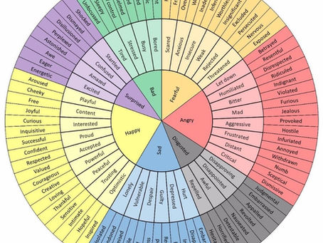 Feelings Wheel