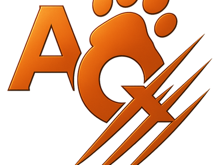 🔥25 Books. Zero Strings. All Ours.🔥