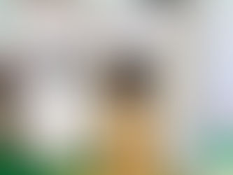Weekly Update + Upcoming Offerings