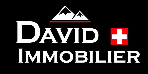 Logo_David_Immobilier_Définitif.jpg