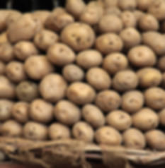 Russet Kartoffel-Stapel
