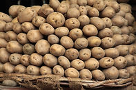 Russet Potato Pile