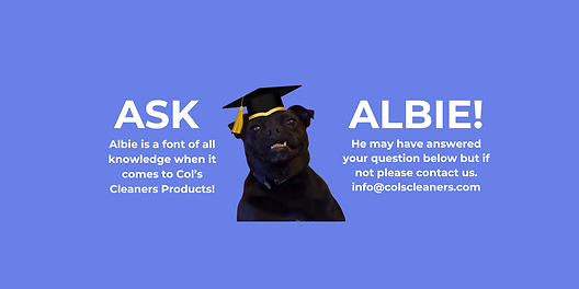 ASK ALBIE!.png