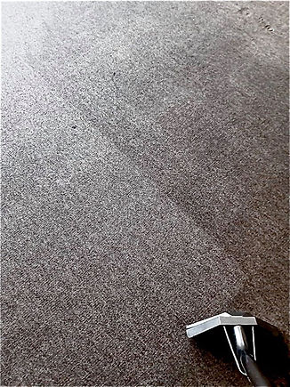 carpet cleaning .jpg