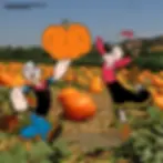 Cartoon holding a large pumpkin with person in a field.