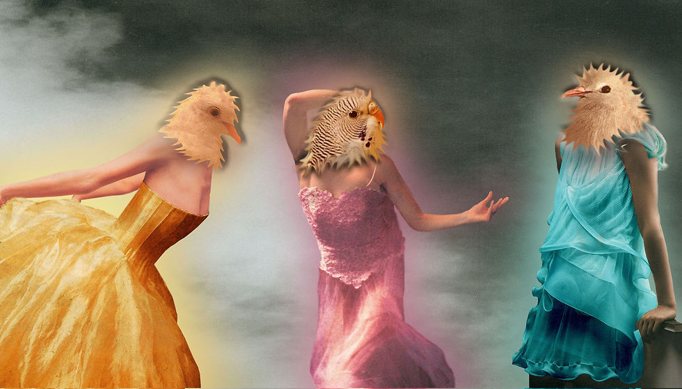 Adventures of the Bird Women