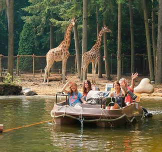 cust_Amersfoort_zoo_Grote Wildernis1_edi